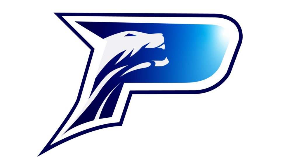 ACHS Panthers athletic logo